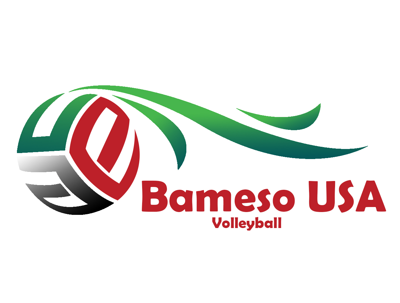 Bameso USA Volleyball