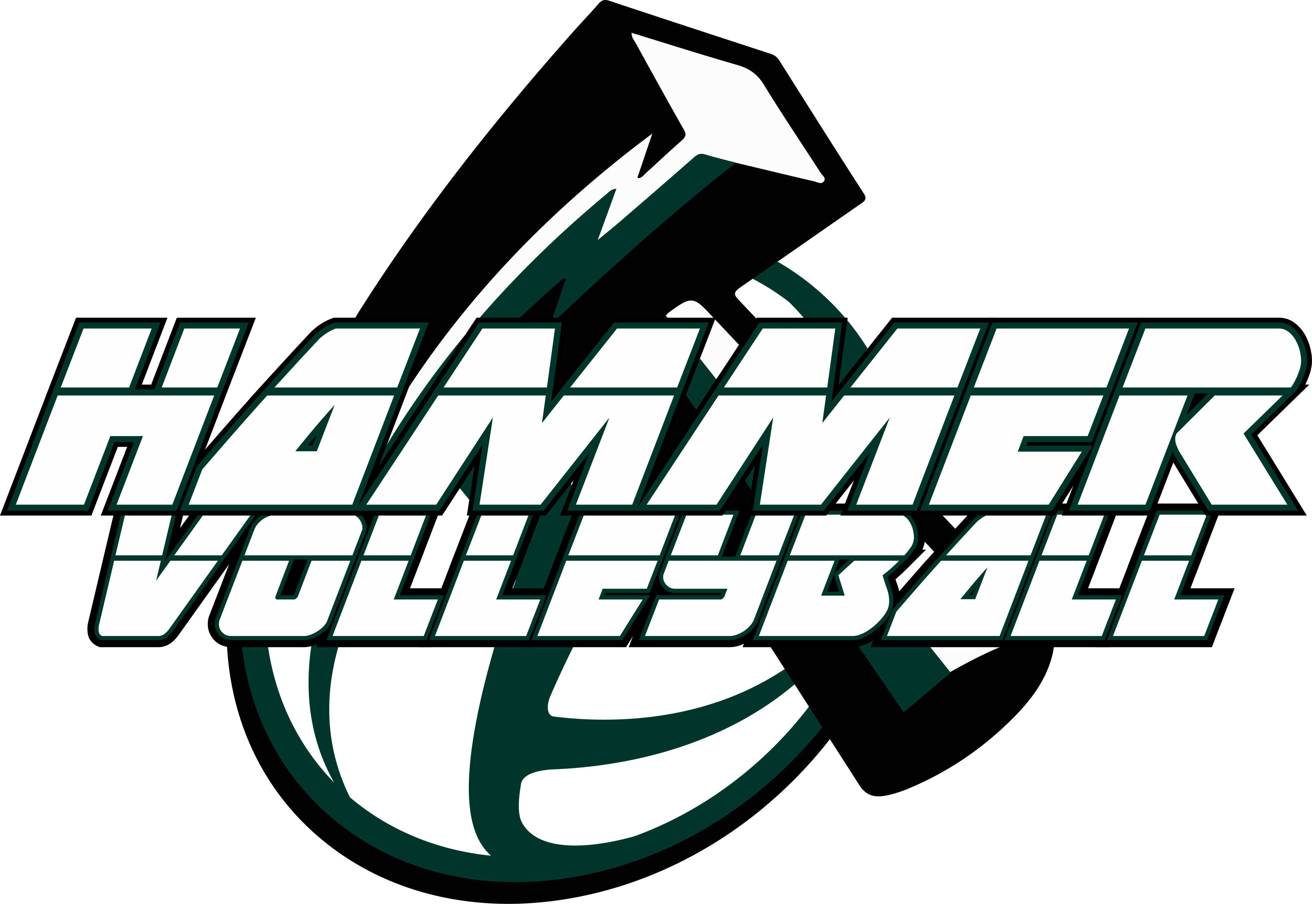 Hammer Volleyball