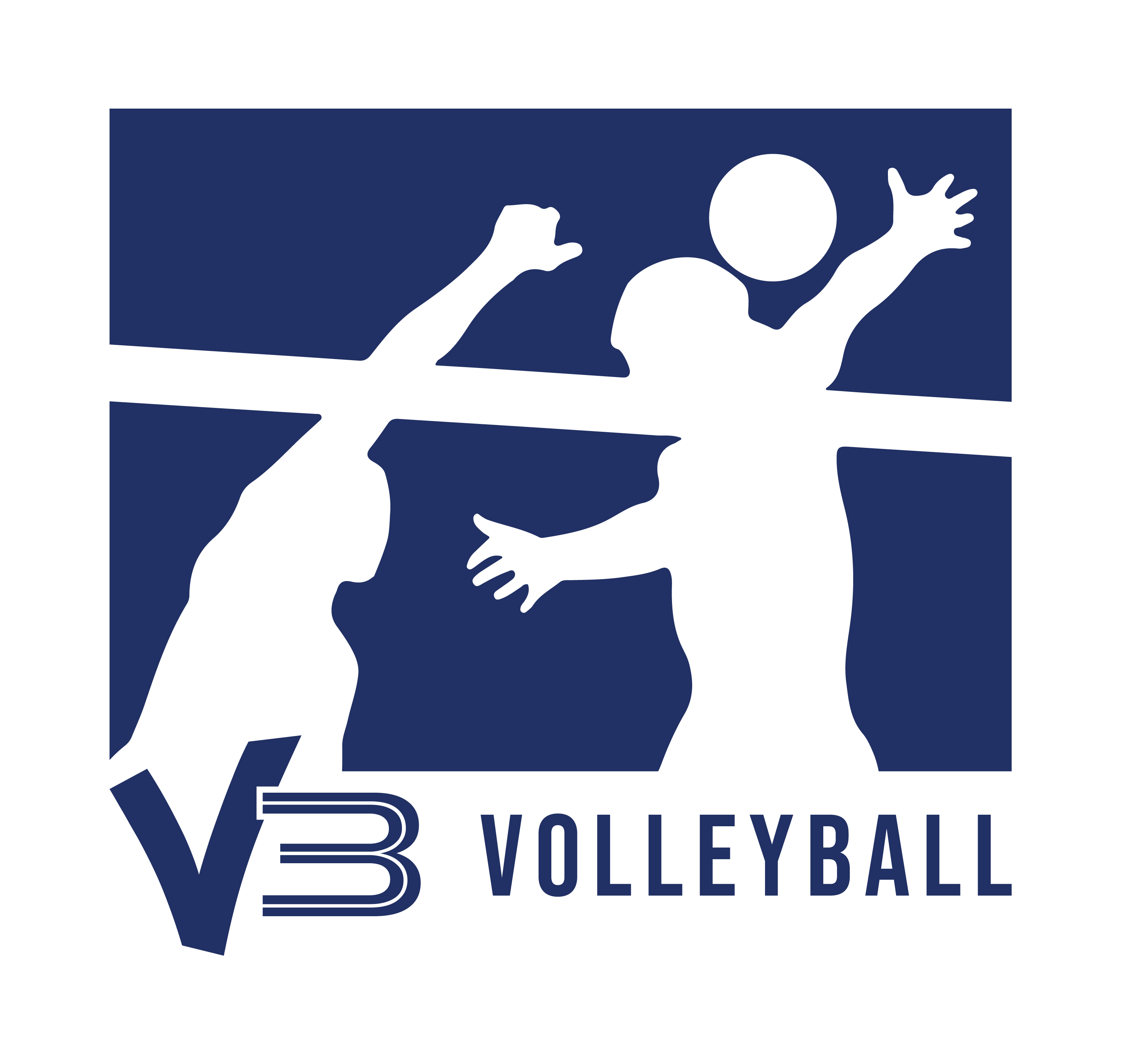 V3 Volleyball