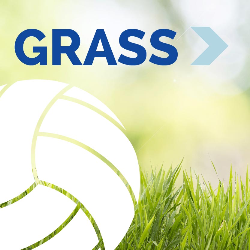 Grass Volleyball Event